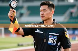 南非南部海上升湖位火车ión