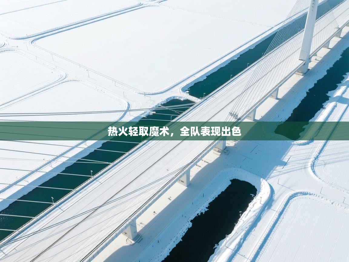 热火轻取魔术，全队表现出色  第1张