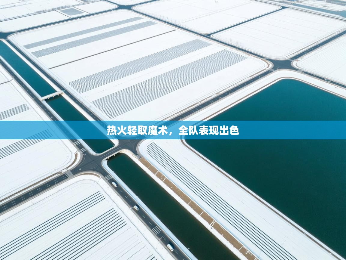 热火轻取魔术，全队表现出色  第2张