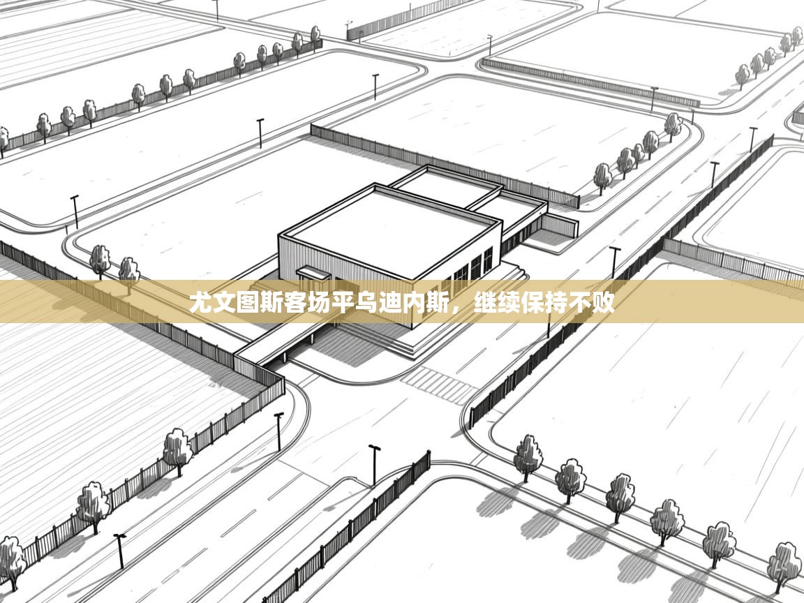 尤文图斯客场平乌迪内斯，继续保持不败  第1张