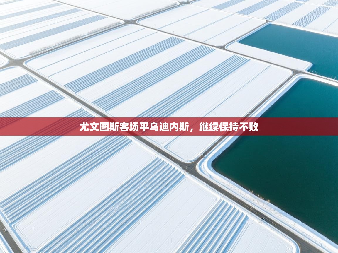 尤文图斯客场平乌迪内斯，继续保持不败  第2张